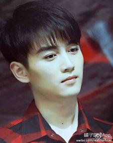 娱乐吃瓜男明星头发,揭秘男明星头发的秘密与魅力 第2张 娱乐吃瓜男明星头发,揭秘男明星头发的秘密与魅力 第2张