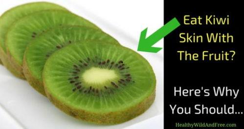 猕猴桃爆料新闻视频播放,揭秘猕猴桃产业最新动态 第3张 猕猴桃爆料新闻视频播放,揭秘猕猴桃产业最新动态 第3张