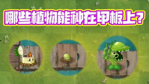 蛙剧视频在线观看,在线观看,畅享精彩瞬间 第3张 蛙剧视频在线观看,在线观看,畅享精彩瞬间 第3张